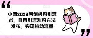 ​小淘2023网创类粉引流术，自用引流涨粉方法发布，实现被动流量-副业资源站
