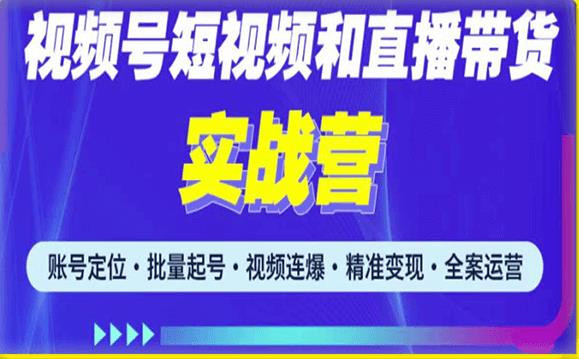 2023最新微信视频号引流和变现全套运营实战课程，小白也能玩转视频号短视频和直播运营-副业资源站