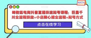 峰教练电商抖音直播投流起号课程：巨量千川全流程投放+小店随心推全流程+起号方式-副业资源站