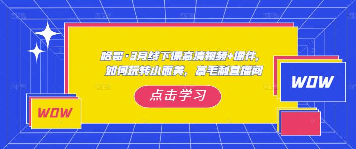 哈哥·3月线下实操课高清视频+课件，如何玩转小而美，高毛利直播间-副业资源站