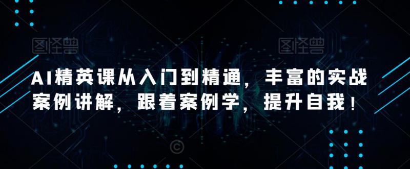 AI精英课从入门到精通，丰富的实战案例讲解，跟着案例学，提升自我！-副业资源站