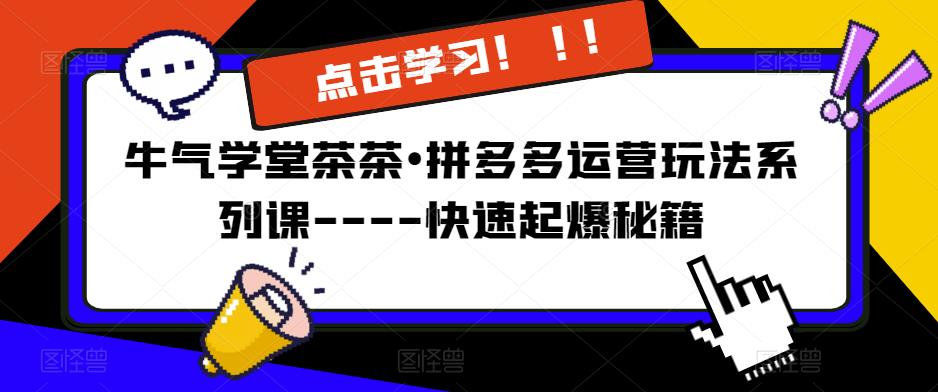 牛气学堂茶茶•拼多多运营玩法系列课—-快速起爆秘籍【更新】-副业资源站