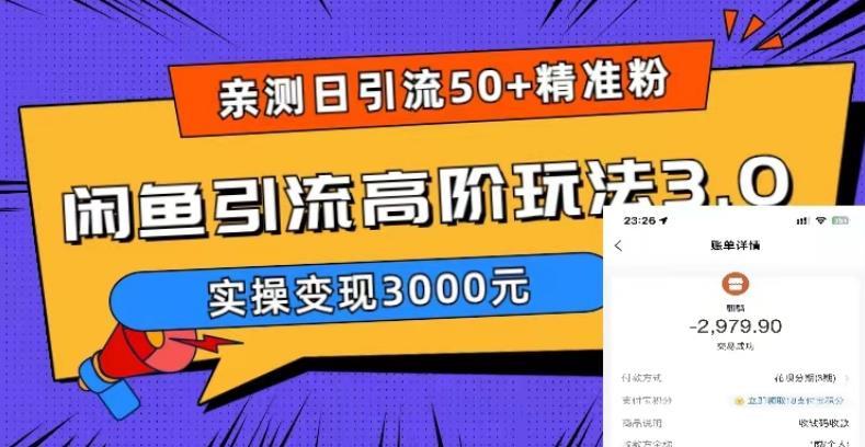 亲测日引50+精准粉，闲鱼引流高阶玩法3.0，实操变现3000元【揭秘】-副业资源站