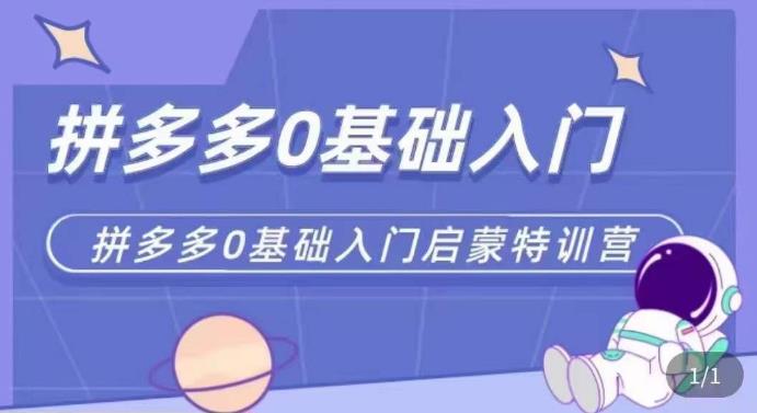 拼多多运营0-1实操特训营，拼多多0基础入门，从基础到进阶的可实操玩法-副业资源站