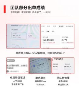 2023小红书电商火爆全网，新晋红利，风口项目，单店收益在3000-30000！-副业资源站