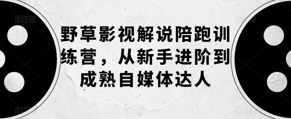 野草影视解说陪跑训练营，从新手进阶到成熟自媒体达人-副业资源站