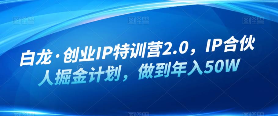 白龙·创业IP特训营2.0，IP合伙人掘金计划，做到年入50W-副业资源站