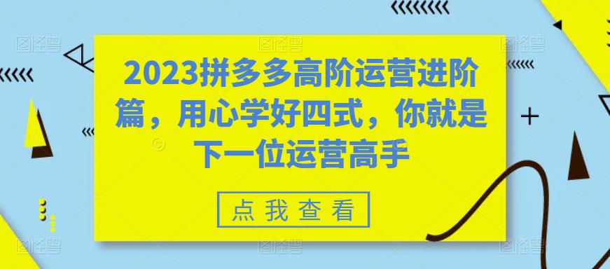 2023拼多多高阶运营进阶篇，用心学好四式，你就是下一位运营高手-副业资源站