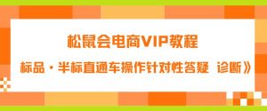 松鼠会电商VIP教程：松鼠《付费推广标品·半标直通车操作针对性答疑&诊断》-副业资源站