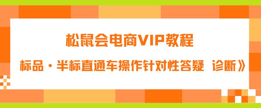 松鼠会电商VIP教程：松鼠《付费推广标品·半标直通车操作针对性答疑&诊断》-副业资源站