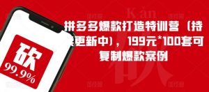 拼多多爆款打造特训营（持续更新中)，199元*100套可复制爆款案例-副业资源站