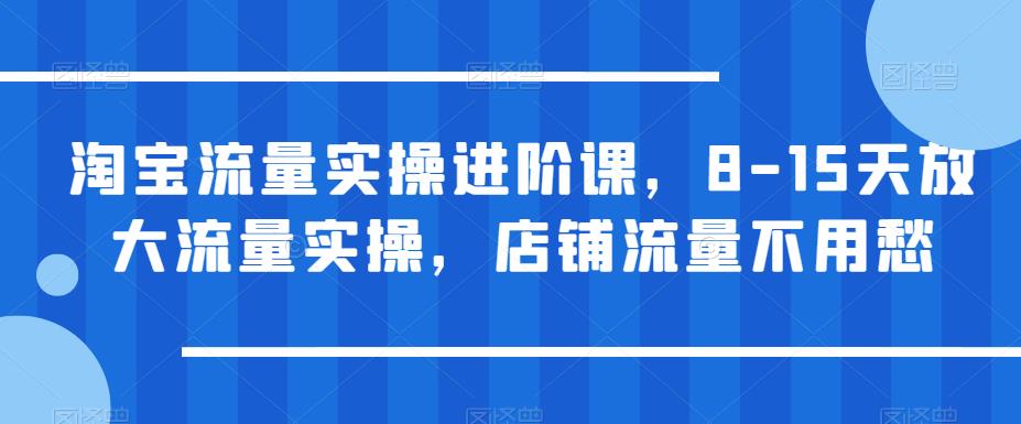 淘宝流量实操进阶课，8-15天放大流量实操，店铺流量不用愁-副业资源站