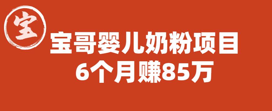 宝哥婴儿奶粉项目，6个月赚85w【图文非视频】【揭秘】-副业资源站