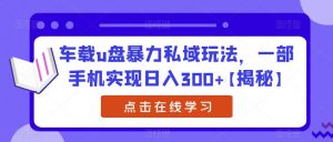 车载u盘暴力私域玩法，一部手机实现日入300+【揭秘】-副业资源站