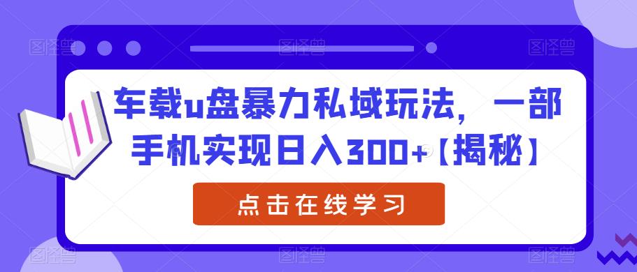 车载u盘暴力私域玩法，一部手机实现日入300+【揭秘】-副业资源站