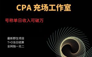 cpa充场工作室，号称单日收入10000+（揭秘）-副业资源站