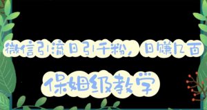 微信互推圈半自动引流方案,矩阵操作日引千人思路【详细视频教程】-副业资源站