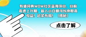 有道词典WOW社区蓝海项目，目前高速上升期，新人小白都可以换取高收益！赶紧布局！【揭秘】-副业资源站
