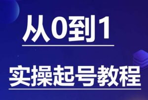 石野·小白起号实操教程，​掌握各种起号的玩法技术，了解流量的核心-副业资源站
