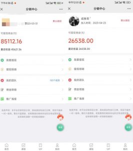 闲鱼流量掘金-虚拟变现新玩法配合全网项目库,精准引流变现3W+-副业资源站