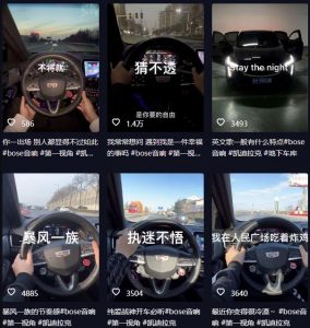 抖音开车视频项目,0基础操作,每天五分钟,月入1W+【揭秘】-副业资源站