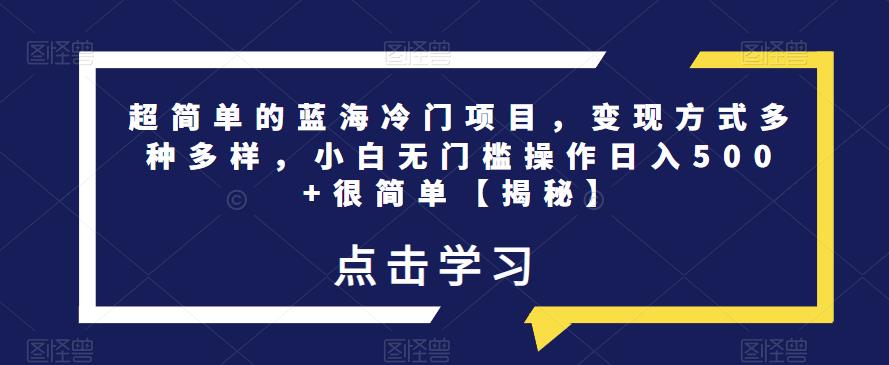 超简单的蓝海冷门项目，变现方式多种多样，小白无门槛操作日入500+很简单【揭秘】-副业资源站