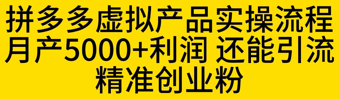 拼多多虚拟产品实操流程，月产5000+利润，还能引流精准创业粉【揭秘】-副业资源站