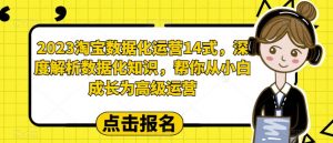 2023淘宝数据化运营14式,深度解析数据化知识,帮你从小白成长为高级运营-副业资源站