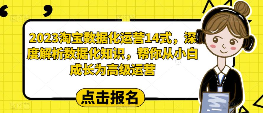 2023淘宝数据化运营14式，深度解析数据化知识，帮你从小白成长为高级运营-副业资源站