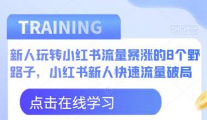 新人玩转小红书流量暴涨的8个野路子，小红书新人快速流量破局-副业资源站