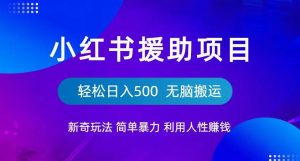 小红书援助项目新奇玩法,简单暴力,无脑搬运轻松日入500【揭秘】-副业资源站