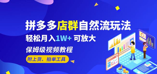 拼多多店群自然流玩法，轻松月入1W+保姆级视频教程（附上货、拍单工具）-副业资源站