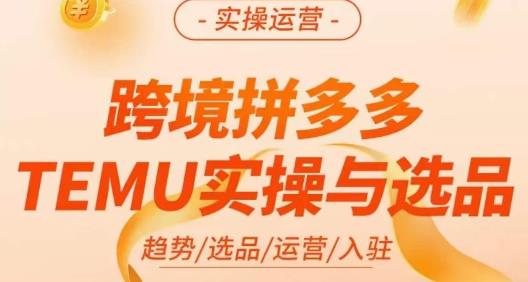 伍跃·跨境拼多多TEMU实操与选品，​趋势/选品/运营/入住（27节完整）-副业资源站