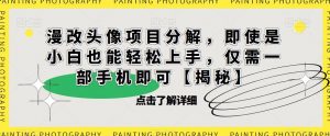 漫改头像项目分解，即使是小白也能轻松上手，仅需一部手机即可【揭秘】-副业资源站
