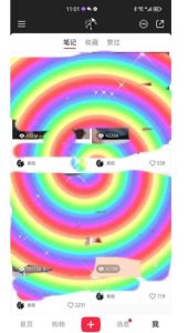 冷门高利润项目，小红书带货，无脑搬运，一部手机实现日入500+【揭秘】-副业资源站