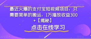 最近火爆的支付宝短视频项目，只需要简单的搬运，1万播放收益300+【揭秘】-副业资源站