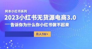 阿本小红书无货源电商3.0，告诉你为什么你小红书做不起来-副业资源站
