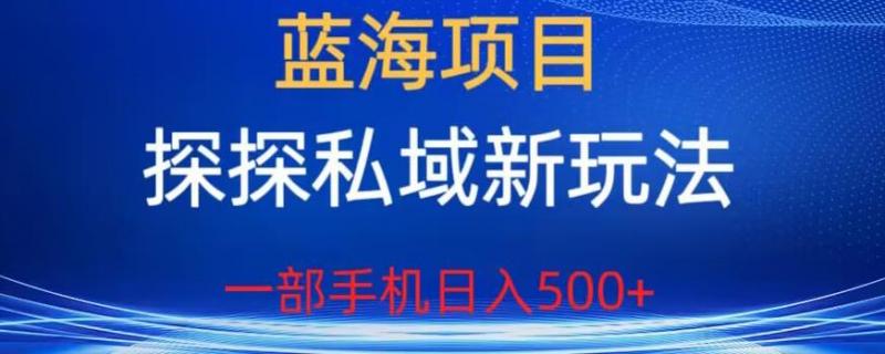 蓝海项目,探探私域新玩法,一部手机日入500+很轻松【揭秘】-副业资源站