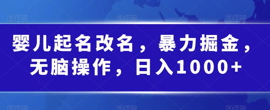 婴儿起名改名，暴力掘金，无脑操作，日入1000+【揭秘】-副业资源站