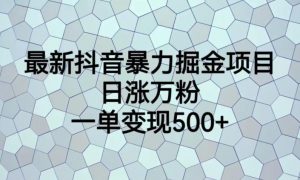 最新抖音暴力掘金项目，日涨万粉，一单变现500+【揭秘】-副业资源站