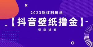 抖音壁纸小程序创作者撸金项目，2023新红利玩法【项目拆解】-副业资源站