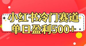 小红书冷门赛道，单日盈利500+【揭秘】-副业资源站