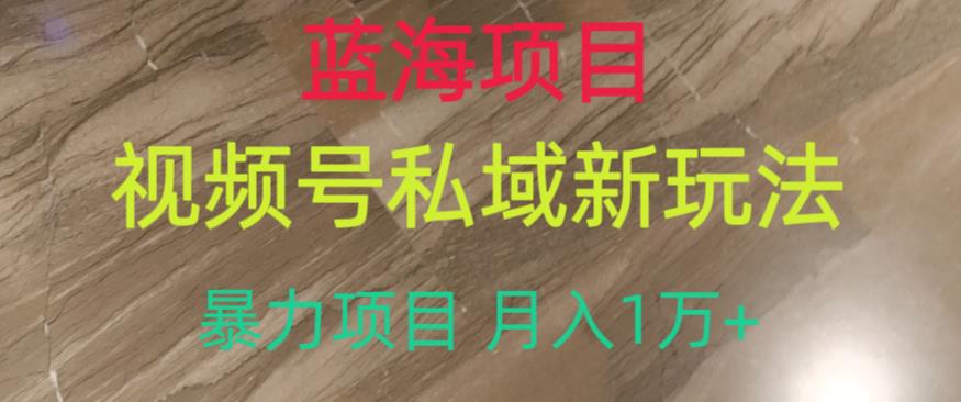 蓝海项目，视频号私域新玩法，暴力项目月入1万+【揭秘】-副业资源站