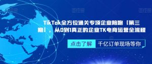 TikTok全方位通关专项企业陪跑【第三期】,从0到1真正的企业TK电商运营全流程-副业资源站