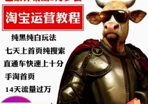 猫老师·淘系算法逆向解密，​纯黑纯白玩法，七天上首页纯搜索，手淘首页14天流量过万-副业资源站