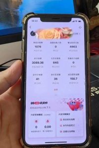 超级蓝海赛道保姆级教学,小红书无货源,无需实拍,如何做到日入1000+【揭秘】-副业资源站