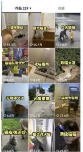 拆解抖音盘点类中视频变现副业项目,视频版一条龙大解析分享给你【视频课程】-副业资源站