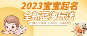 抖音美女图文+音乐推广5.0版本,单日单号500+,0本0粉可矩阵,五分钟一个视频【揭秘】-副业资源站