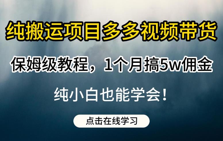 纯搬运项目多多视频带货保姆级教程，1个月搞5w佣金，纯小白也能学会【揭秘】-副业资源站