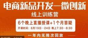 南掌柜·电商新品开发——微创新，电商新品微创新是你企业发展的护城河-副业资源站